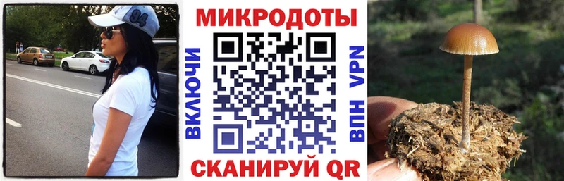 Псилоцибиновые грибы MAGIC MUSHROOMS Купить где Калуга